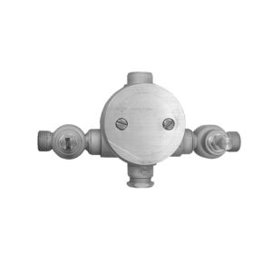 3/4" Thermostatic Valve with Integral Stops