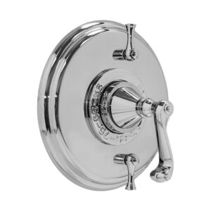 Thermostatic Shower Set with Charlotte Handle and Two Volume Controls