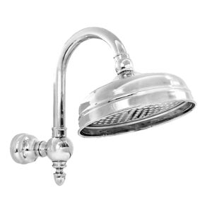 8" Rainhead with Arched Shower Arm and Flange