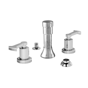 Bidet Set with Piston Handle