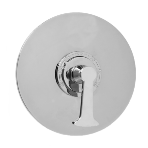 Thermostatic Shower Set with Piston Handle